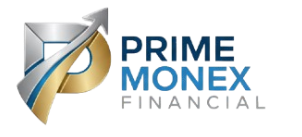 PRIMEMONEX PLC INTERNATIONAL SECURED BANKING